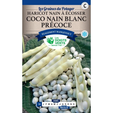 HARICOT COCO NAIN BLANC PRECOCE cat2