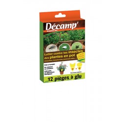 PIÈGE A GLU INSECTES...