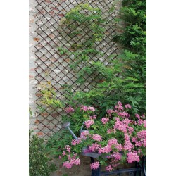 TREILLIS OSIER EXTENSIBLE...