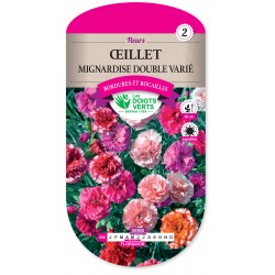 ŒILLET MIGNARDISE DOUBLE...