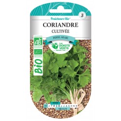CORIANDRE CULTIVÉE BIO -...