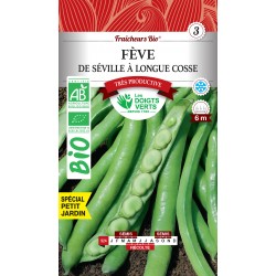 FÈVE DE SÉVILLE A LONGUE...