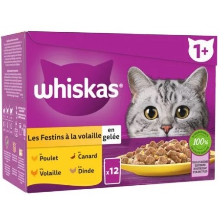 Whiskas – Lait pour Chat en Pleine Croissance – Friandise pour Un Chat  Heureux – sans Lactose et Facile à digérer – Petite récompense Entre Les  Repas : : Animalerie