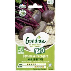 BETTERAVE NOIRE D'ÉGYPTE...