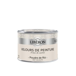 VELOURS DE PEINTURE POUDRE...
