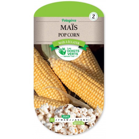 MAIS POP CORN