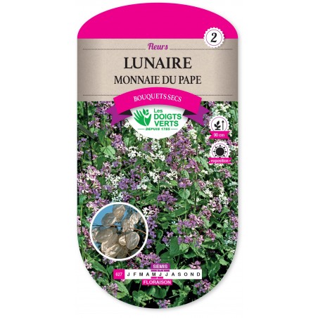 LUNAIRE MONNAIE DU PAPE CAT 2 LUNAIRE MONNAIE DU PAPE CAT 2