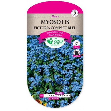 MYOSOTIS VICTORIA COMPACT BLEU CAT3 MYOSOTIS VICTORIA COMPACT BLEU CAT3