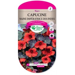 CAPUCINE NAINE IMPERATRICE DES INDES cat2