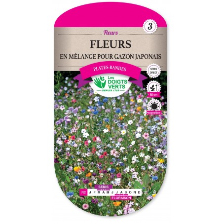 FLEURS EN MELANGE POUR GAZON JAPONAIS cat3 FLEURS EN MELANGE POUR GAZON JAPONAIS cat3