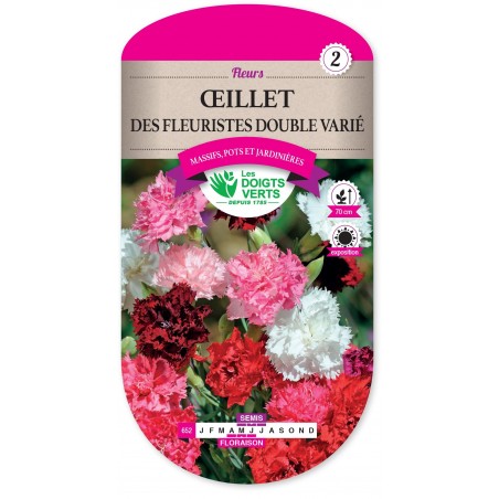 OEILLET DES FLEURISTES DBLE VA cat2 OEILLET DES FLEURISTES DBLE VA cat2