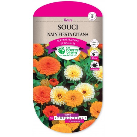 SOUCI FIESTA GITANE cat3 SOUCI FIESTA GITANE cat3