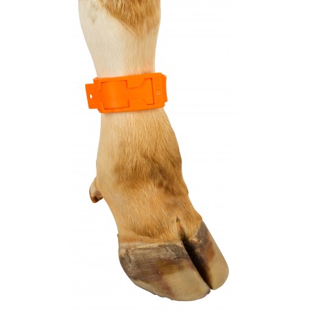 BRACELET PLASTIQUE ORANGE BRACELET PLASTIQUE ORANGE