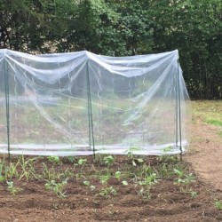 MINI SERRE TOMATES LONG 3.6M HAUT 1.80M