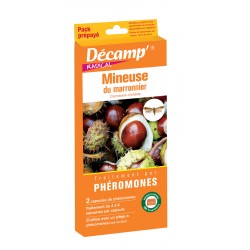 MINEUSE DU MARRONNIER...