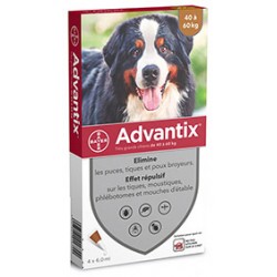 ADVANTIX GRANDS CHIENS...