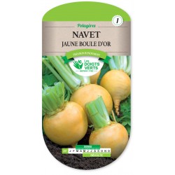 NAVET JAUNE BOULE D'OR -...