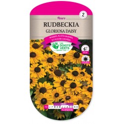 RUDBECKIA GLORIOSA DAISY