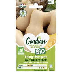 COURGE MUSQUÉE BUTTERNUT...