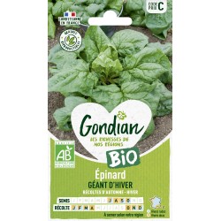 ÉPINARD GÉANT D'HIVER BIO -...