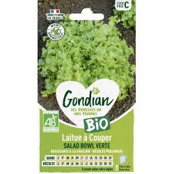 LAITUE BOWL VERTE BIO -...