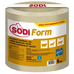 BLOC DE SEL A LÉCHER PETITS...