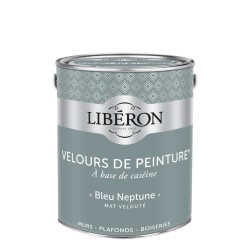 VELOURS DE PEINTURE BLEU...