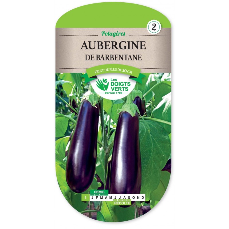 AUBERGINE DE BARBENTANE cat2