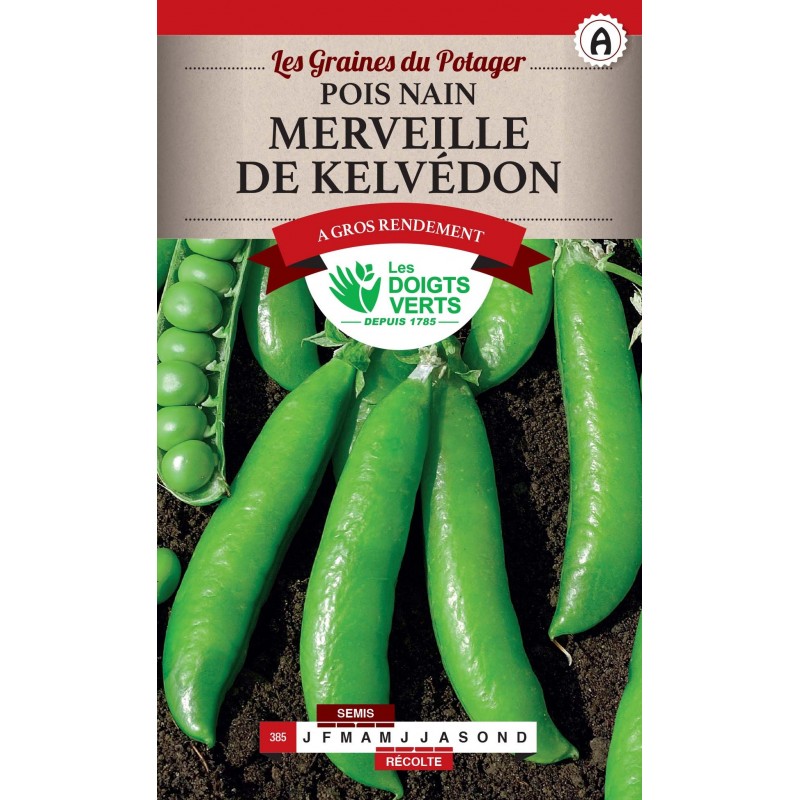 POIS NAIN MERVEILLE KELVEDON RID  250G catA