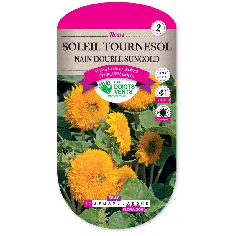 SOLEIL TOURNESOL NAIN DOUBLE SUNGOLD