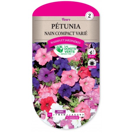 PETUNIA NAIN COMPACT VARIE cat2