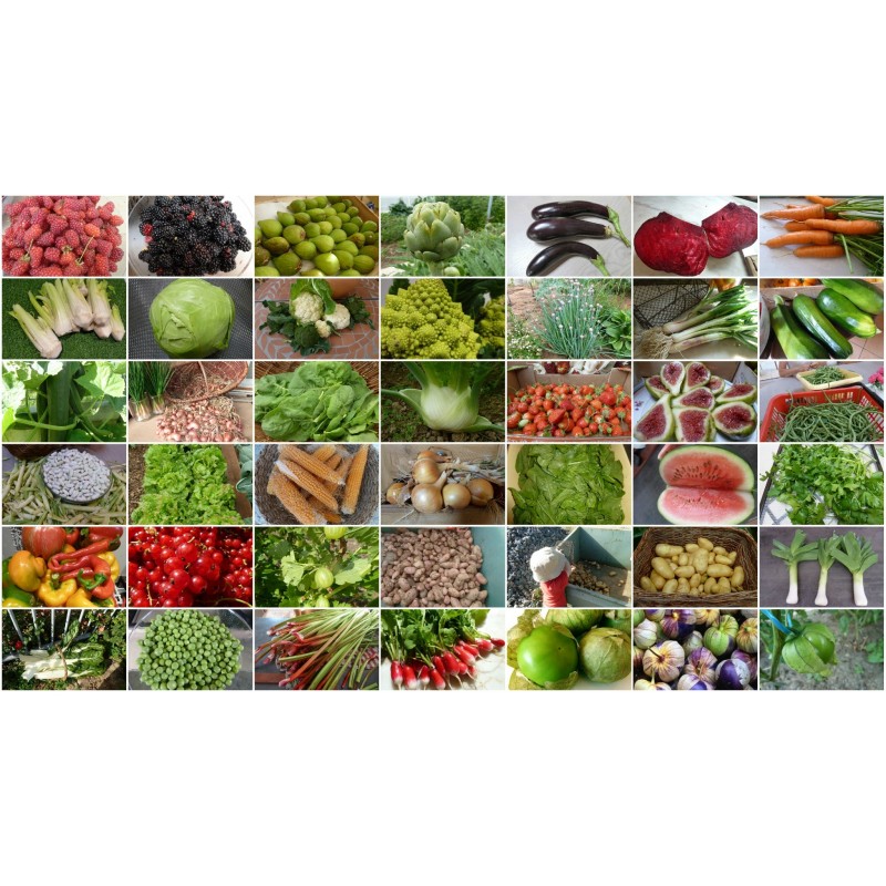 LEGUMES VARIES BARQUETTE 3 GODETS