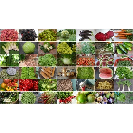 LEGUMES VARIES BARQUETTE 3 GODETS