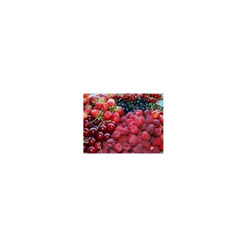 ARBUSTES PETITS FRUITS POT DE 4 LITRES