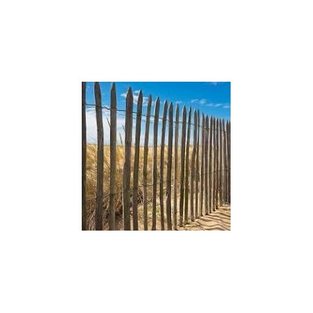 GANIVELLE 100CM 4/5 5ML GANIVELLE 100CM 4/5 5ML