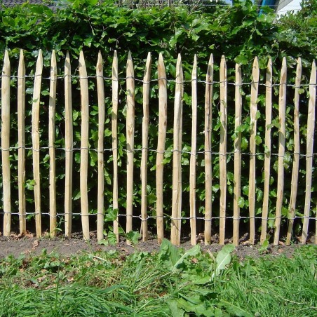 GANIVELLE 100CM 4/5 5ML GANIVELLE 100CM 4/5 5ML