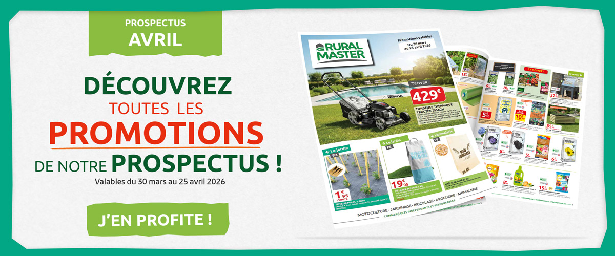 Slide #2 copie copy copy copy copy copy copy copy Slide background