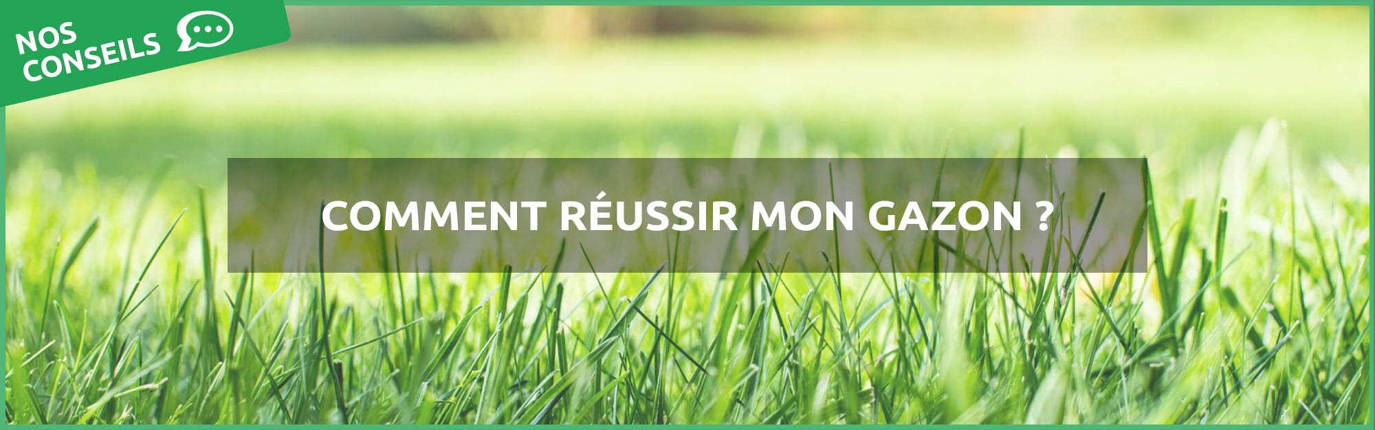 Comment Préparer et Semer un Gazon? pour Avoir une Joli Pelouse SANS  Mauvaises Herbes 