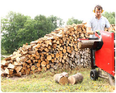 Bois de chauffage - Exploitation Forestière Mont de Marsan