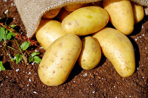 FECULE DE POMME DE TERRE SEAU DE 5 KG