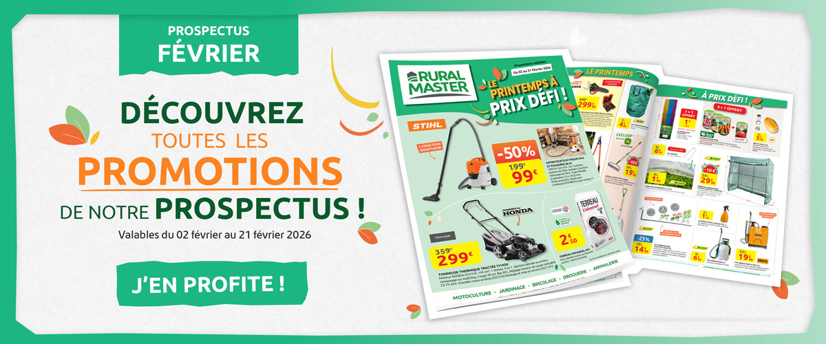 Slide #2 copie copy copy copy copy copy copy copy copy copy copy copy copy Slide background