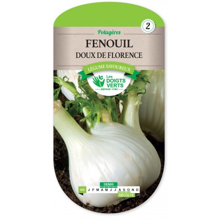 FENOUIL DOUX DE FLORENCE cat2 FENOUIL DOUX DE FLORENCE cat2