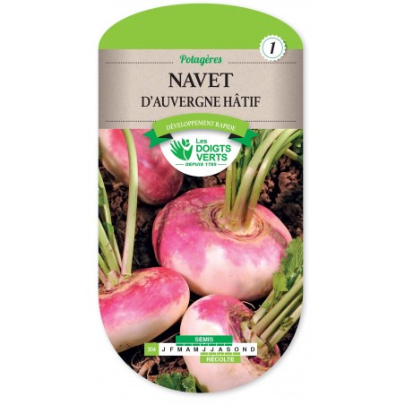 NAVET D AUVERGNE HATIF cat1 NAVET D AUVERGNE HATIF cat1