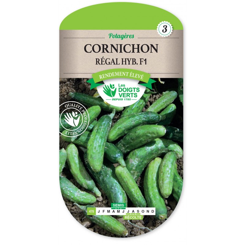 CORNICHON RÉGAL HYBRIDE F1  cat3