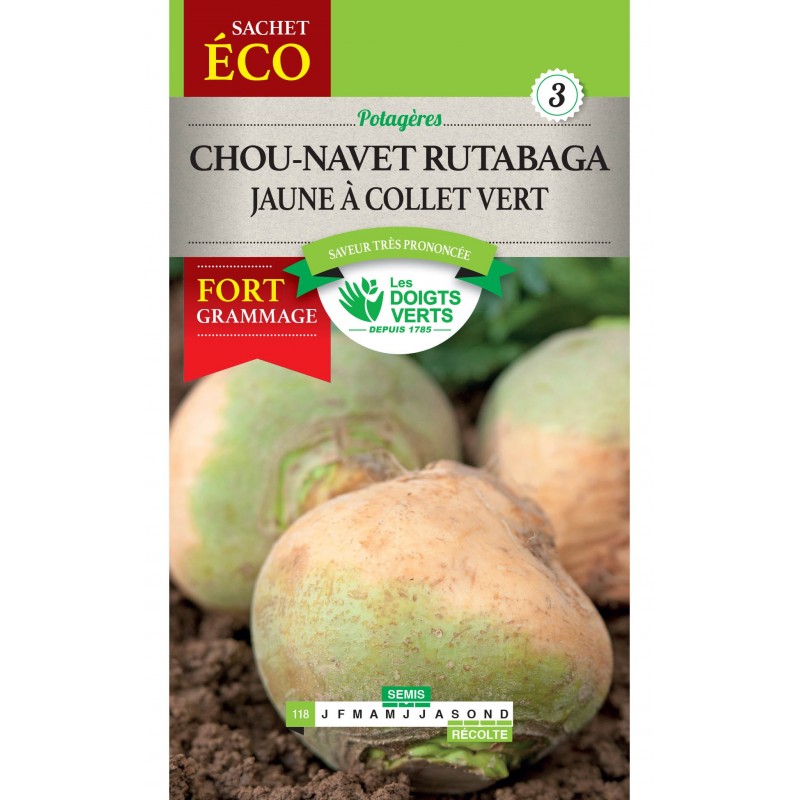 CHOU NAVET RUTABAGA JAUNE A COLLET VERT