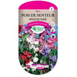 POIS DE SENTEUR SPENCER VARIE CAT2