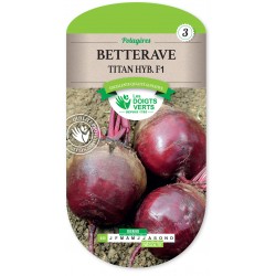 BETTERAVE TITAN HYBRIDE F1...