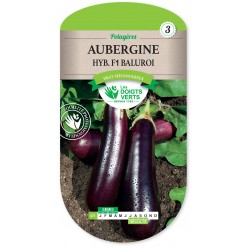 AUBERGINE HYBRIDE F1...