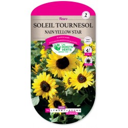 SOLEIL TOURNESOL NAIN...