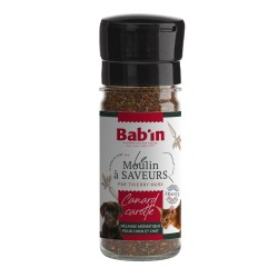 MOULIN À SAVEURS CANARD...